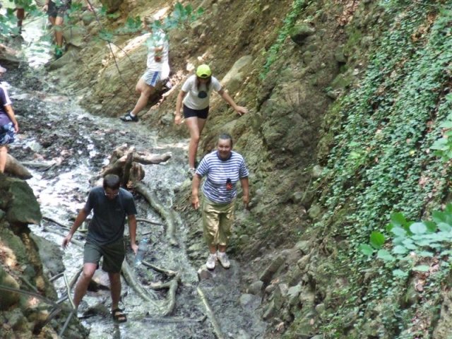DSCF0197 (Medium)